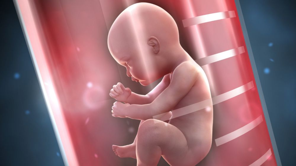 Tüp bebek tedavisiyle ilgili akılda tutulması gereken 10 gerçek 