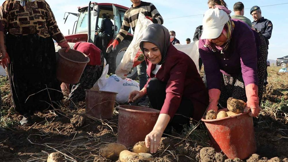 Afyon, Patates üretiminde Türkiye’de üçüncü sırada