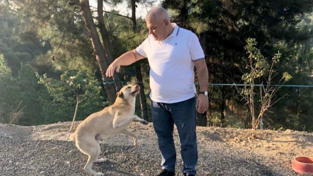 ALTSO Başkanı Şahin’den sokak hayvanları için mama projesini duyurdu