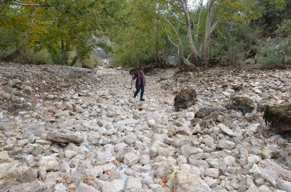 Antalya’da Üzümdere Irmağı kurudu, yavru alabalıklar telef oldu