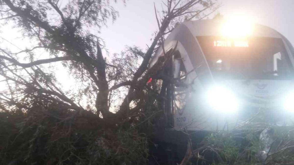 Manisa'da tren raylarına ağaç devrildi