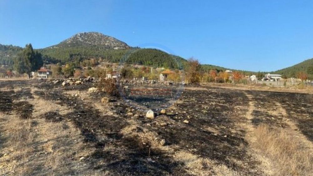 Bucak Sazak'ta Arazi Yangını Büyümeden Söndürüldü