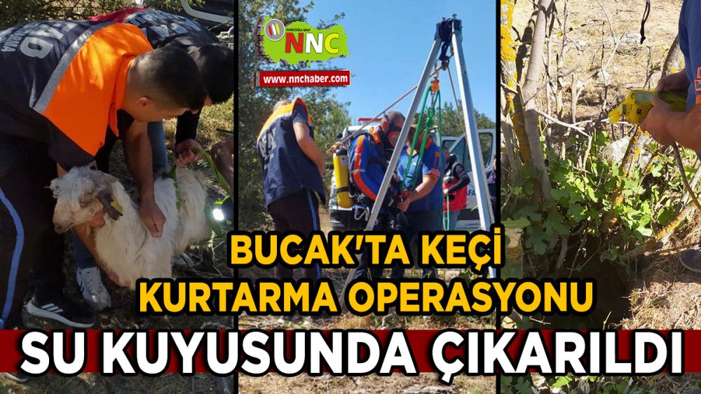 Bucak'ta Keçi Kurtarma Operasyonu Su Kuyusunda Çıkarıldı