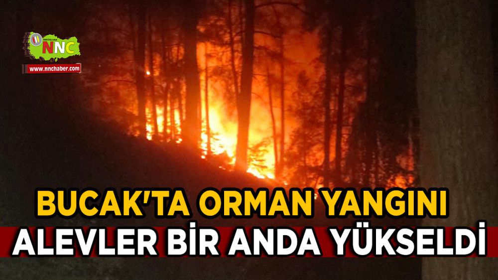 Bucak'ta Orman Yangını Alevler Bir Anda Yükseldi