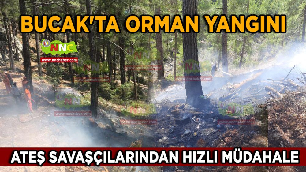 Bucak'ta Orman Yangını Ateş Savaşçılarından Hızlı Müdahale