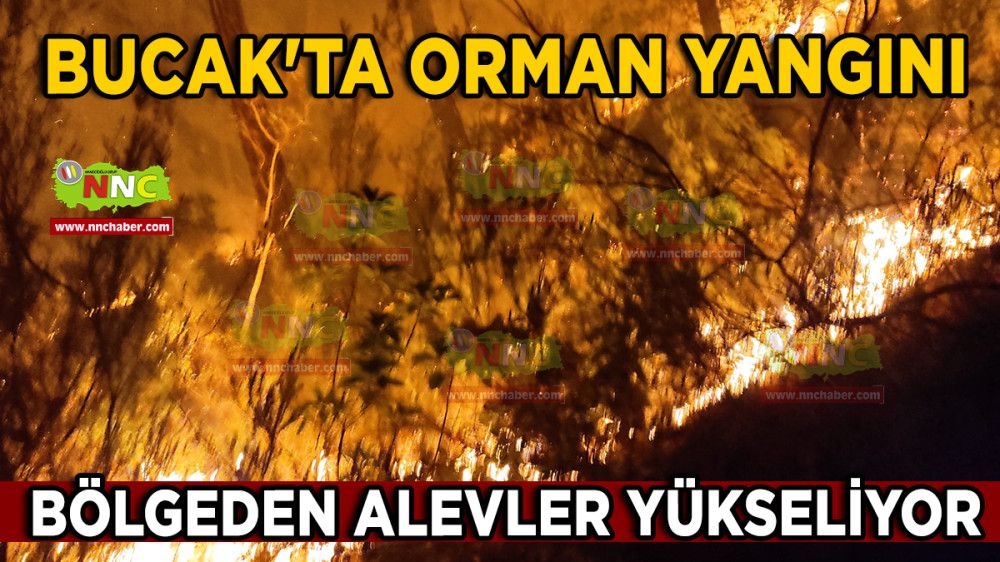 Bucak'ta Orman Yangını Bölgeden Alevler Yükseliyor