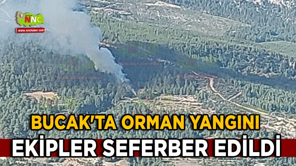 Bucak'ta Orman Yangını Ekipler Seferber Edildi