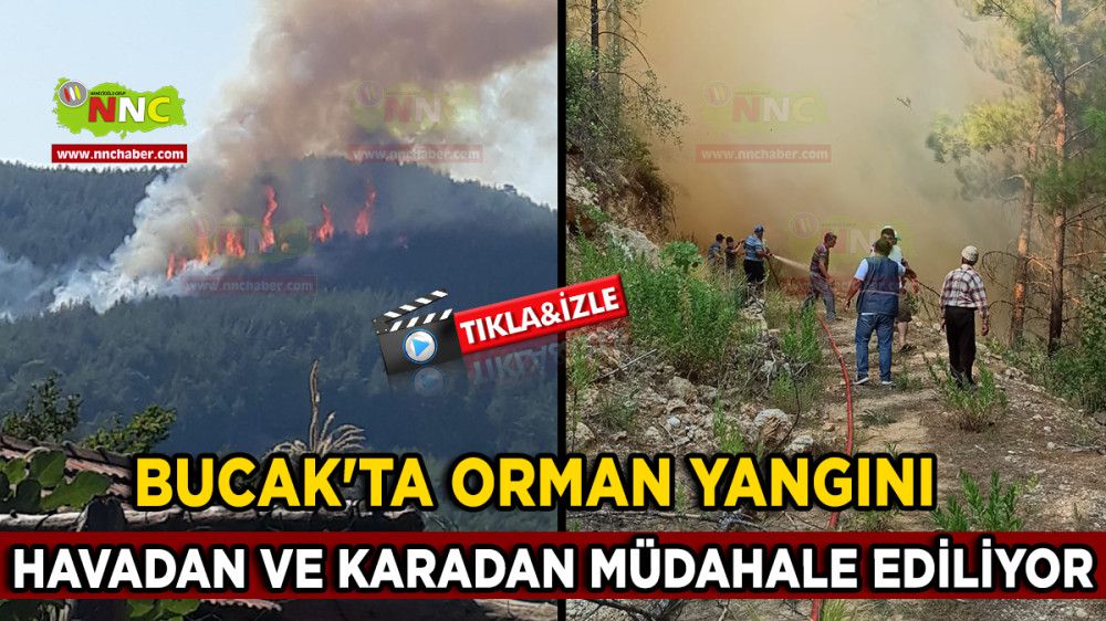 Bucak'ta Orman Yangını Havadan ve Karadan Müdahale Ediliyor