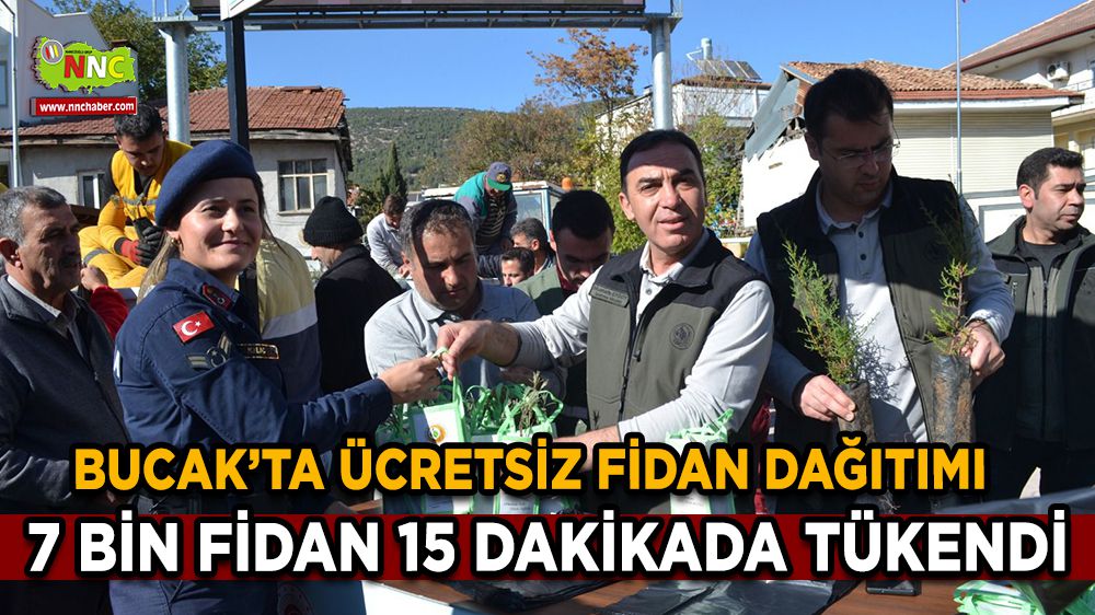 Bucak'ta ücretsiz fidan dağıtımı