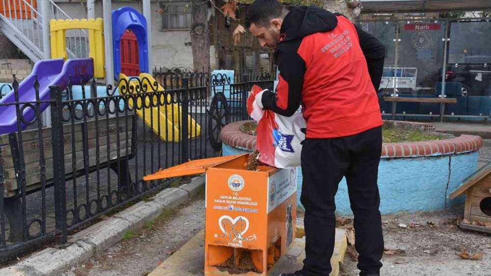Bursa'da sokak hayvanları aç kalmıyor