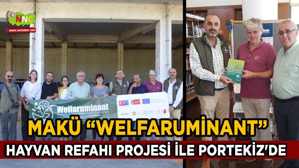 MAKÜ Hayvan Refahı Projesi ile Portekiz'de