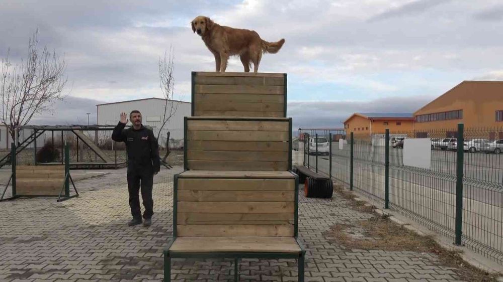 Afyon'un hassas burunları Türkiye’nin her yerinde görevde