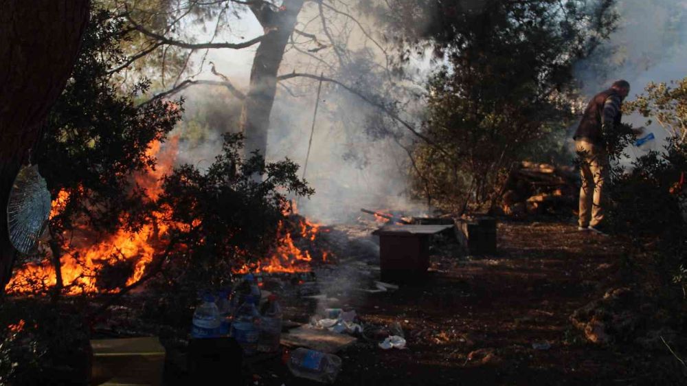 Antalya'da bir kişi orman yangınını önledi