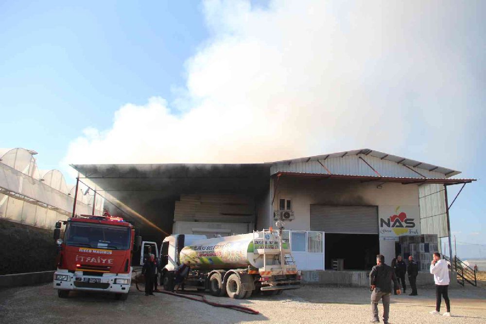 Antalya’da paketleme tesisinde büyük yangın