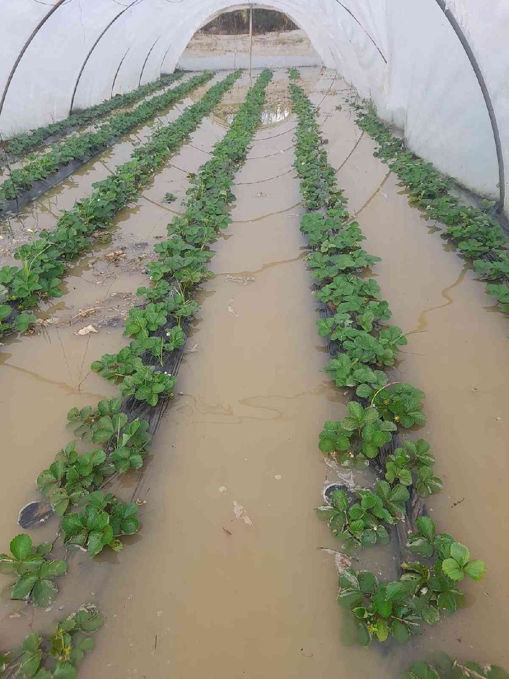 Antalya’da sağanak yağış hayatı durdurdu