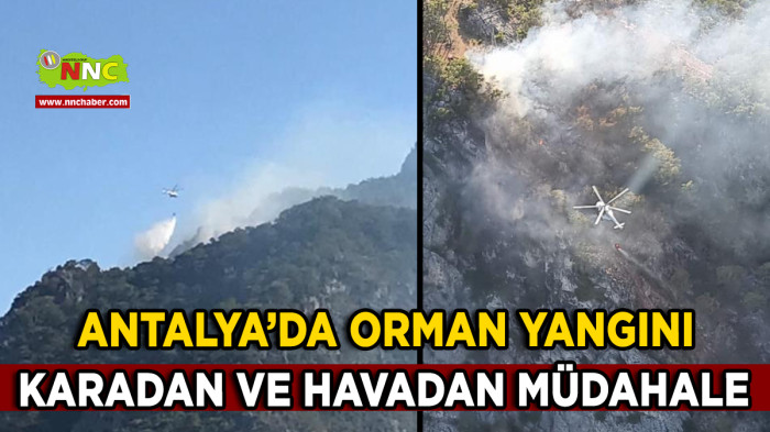Antalya’nın Konyaaltı ilçesi'nde ormanlık alanda yangın çıktı. Yangın sonrasında ekipler bölgeye sevk edildi. Karadan ve havadan müdahale ediliyor.