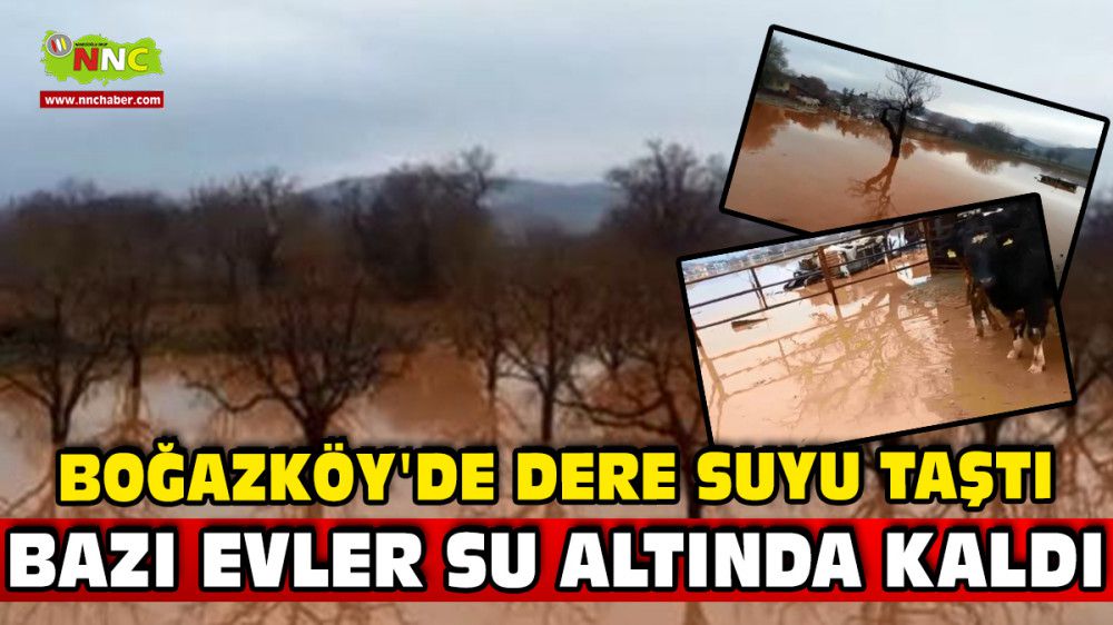 Boğazköy'de Dere Suyu Taştı, Bazı Evler Su Altında Kaldı