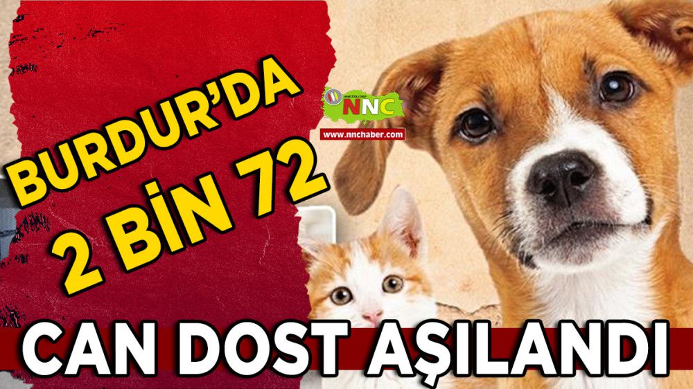 Burdur'da 2 Bin 72 Kedi ve Köpek Aşılandı