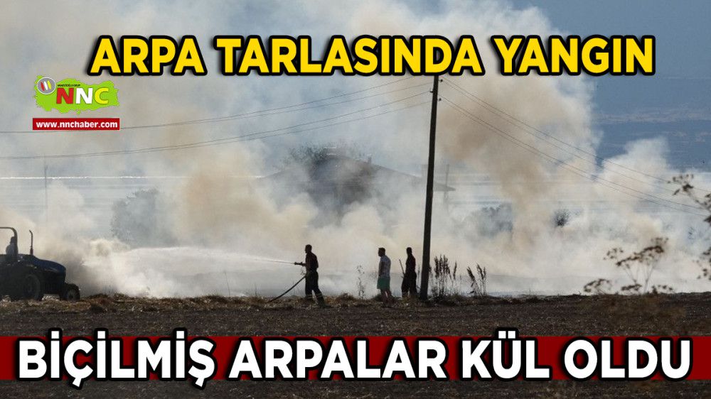 Burdur’da Arpa Tarlasında Yangın, Biçilmiş Arpalar Kül Oldu