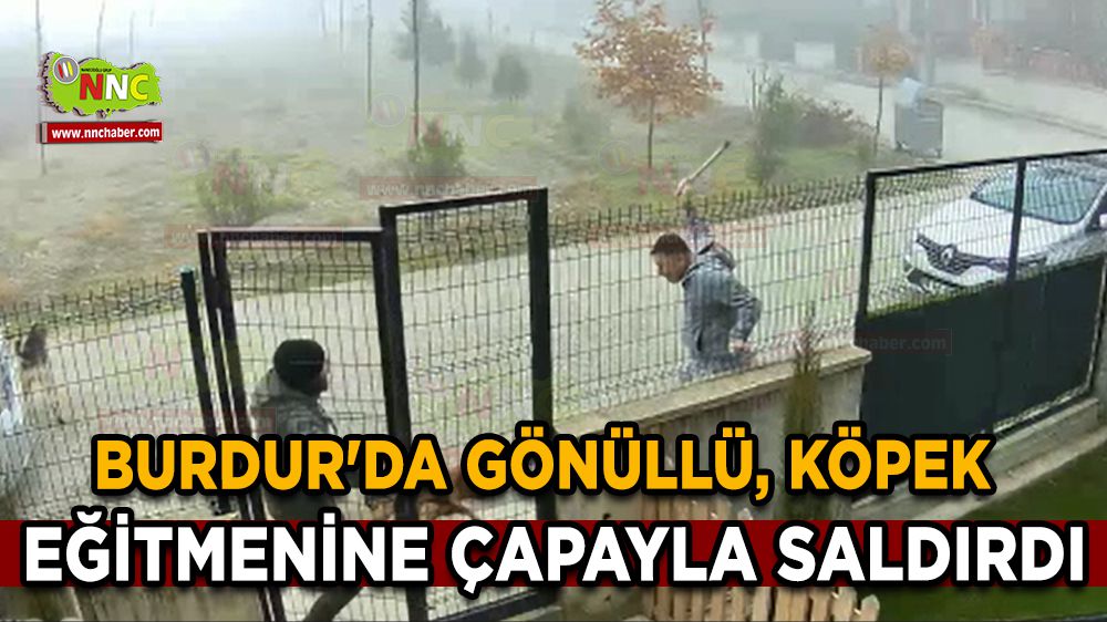 Burdur'da gönüllü köpek eğitmenine çapayla saldırdı