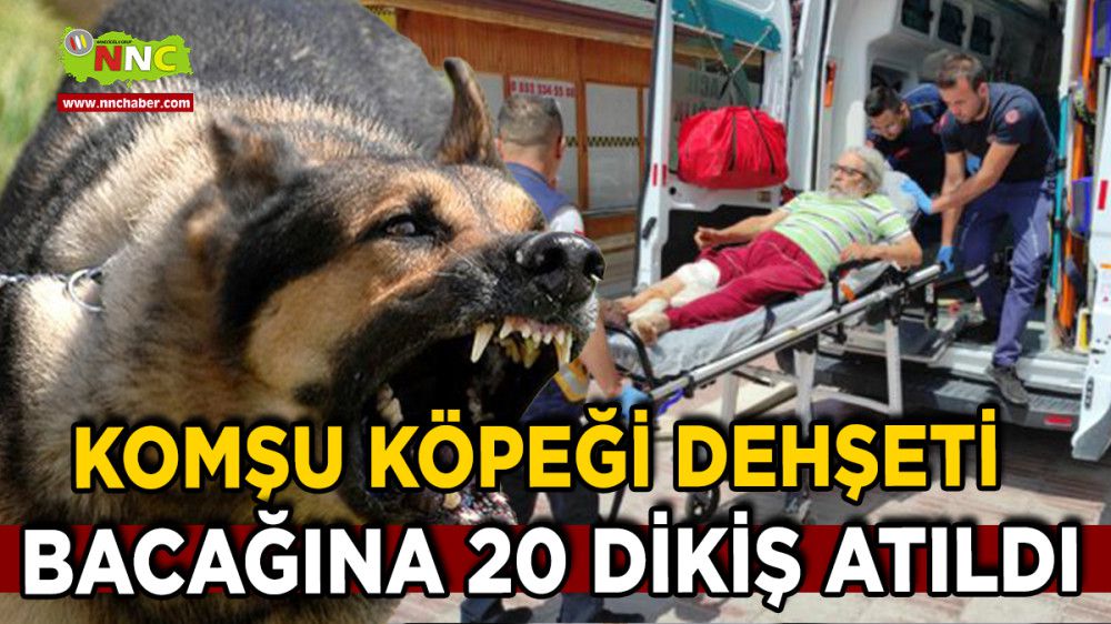 Burdur'da Komşu Köpeği Dehşeti Bacağına 20 Dikiş Atıldı