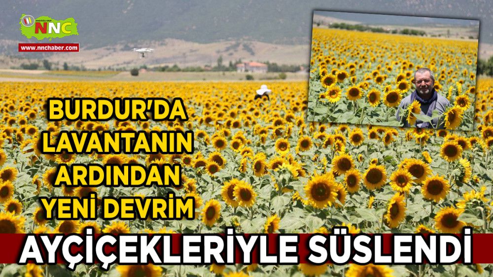 Burdur'da Lavantanın Ardından Yeni Devrim Ayçiçekleriyle Süslendi