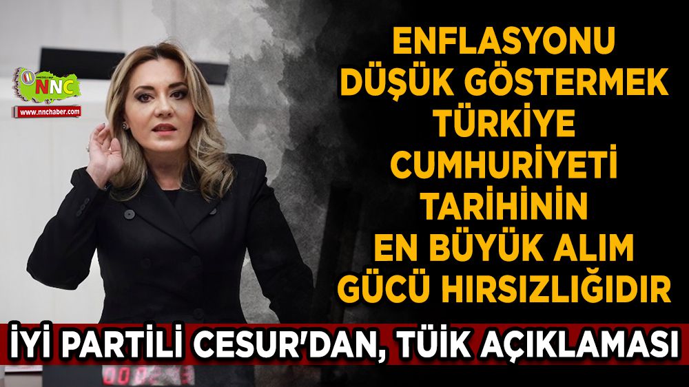 İYİ Partili Aylin Cesur'dan, TÜİK açıklaması