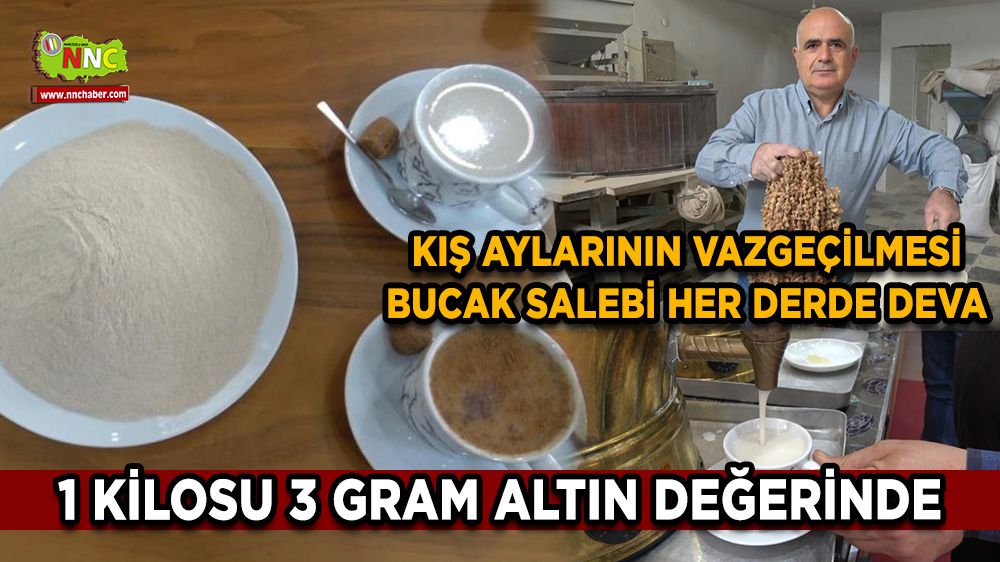 Meşhur Bucak Salebinin kilosu 3 bin liradan satılıyor