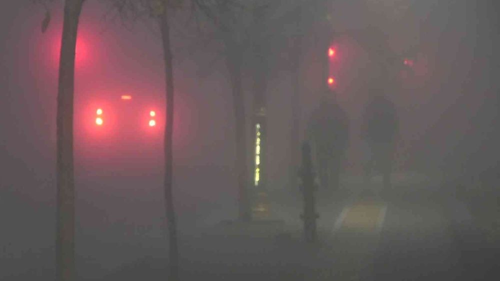 Sivas’ta yoğun sis