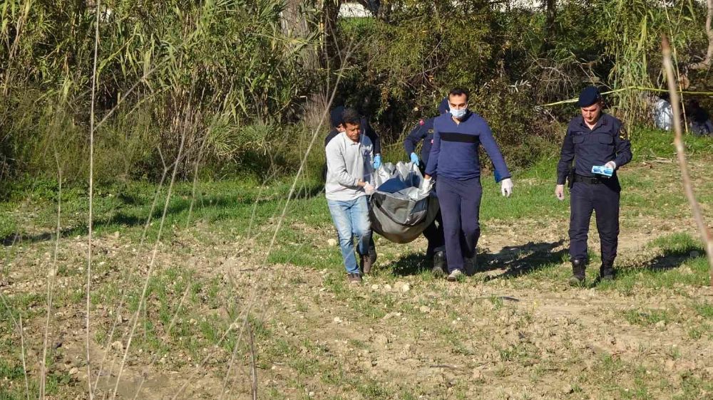 Antalya'da bir balıkçı ağaçta asılı ceset buldu