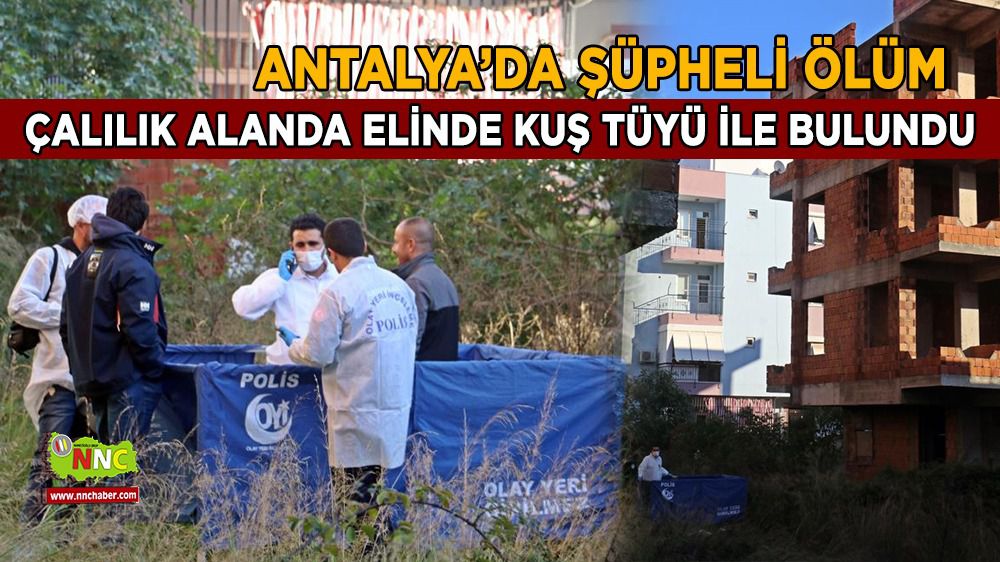 Antalya'da Çalılık alanda kadın cesedi bulundu