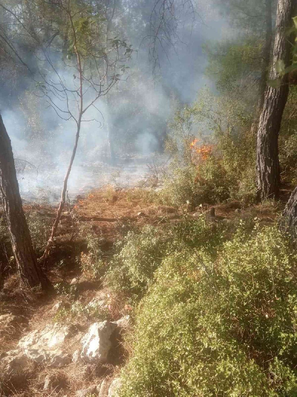 Antalya’da çıkan orman yangını büyümeden önlendi