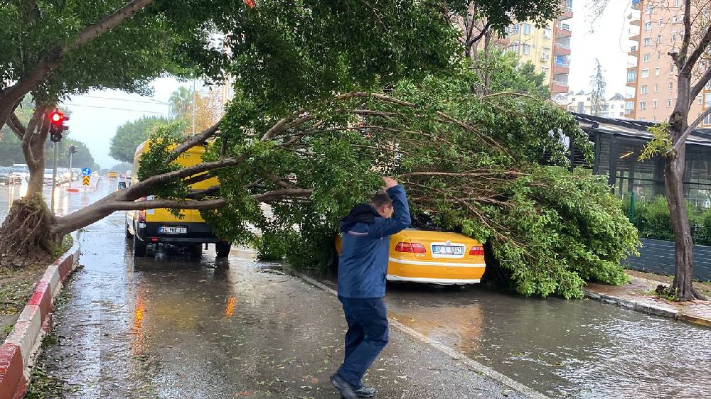 Antalya’da fırtınaya dayanamayan ağaç araçlara devrildi