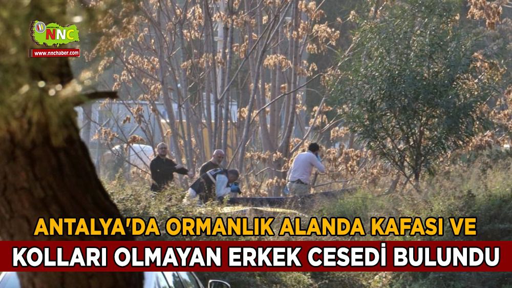 Antalya'da ormanlık alanda kafası ve kolları olmayan erkek cesedi bulundu