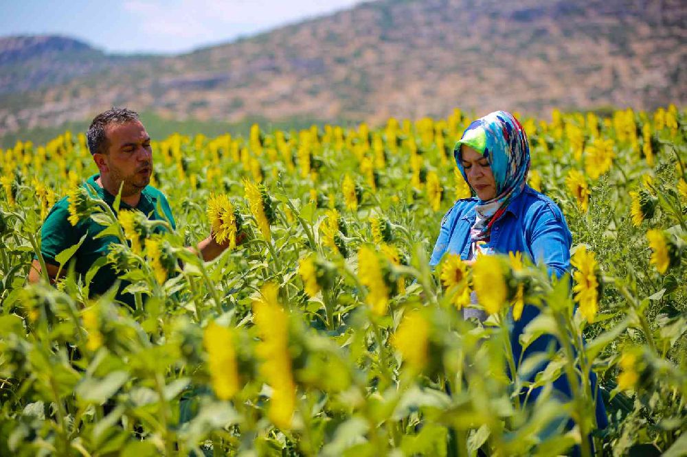 Antalya tarımına 2022'de 143 milyon liralık destek