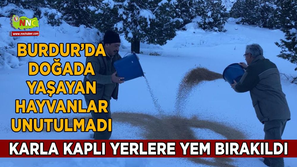 Burdur'da doğada yaşayan hayvanlar için yem bırakıldı