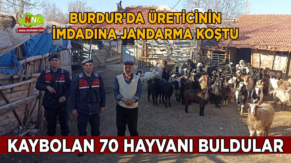 Burdur'da kaybolan 70 küçükbaş hayvan jandarma tarafından bulundu