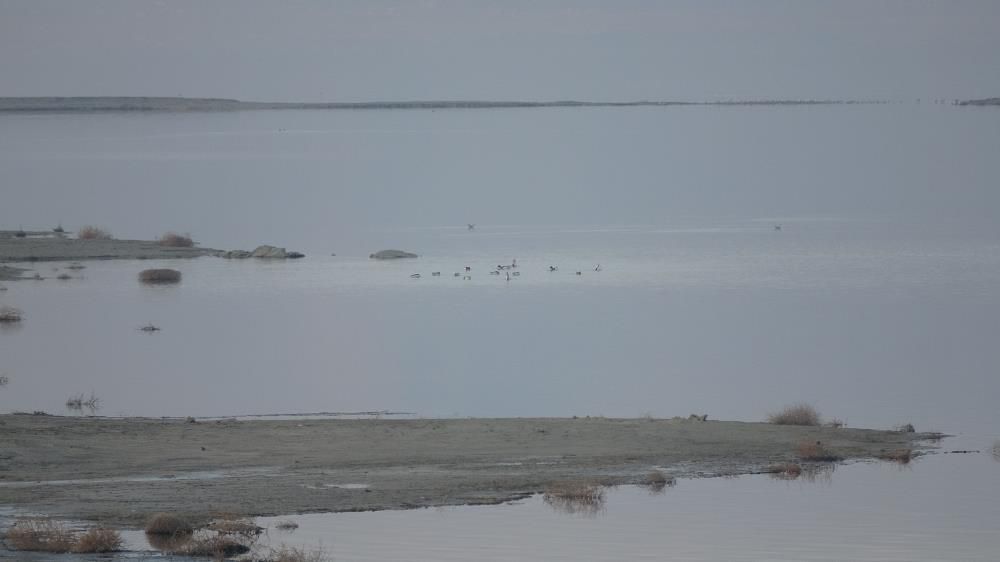Göller yöresinde kuşların izini sürüyorlar