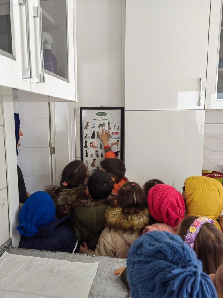 Zübeyde Hanım Anaokulu öğrencileri Bucak hayvan hastanesinde