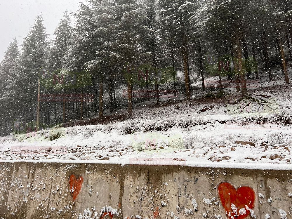 Bucak'ta kar yağışı başladı