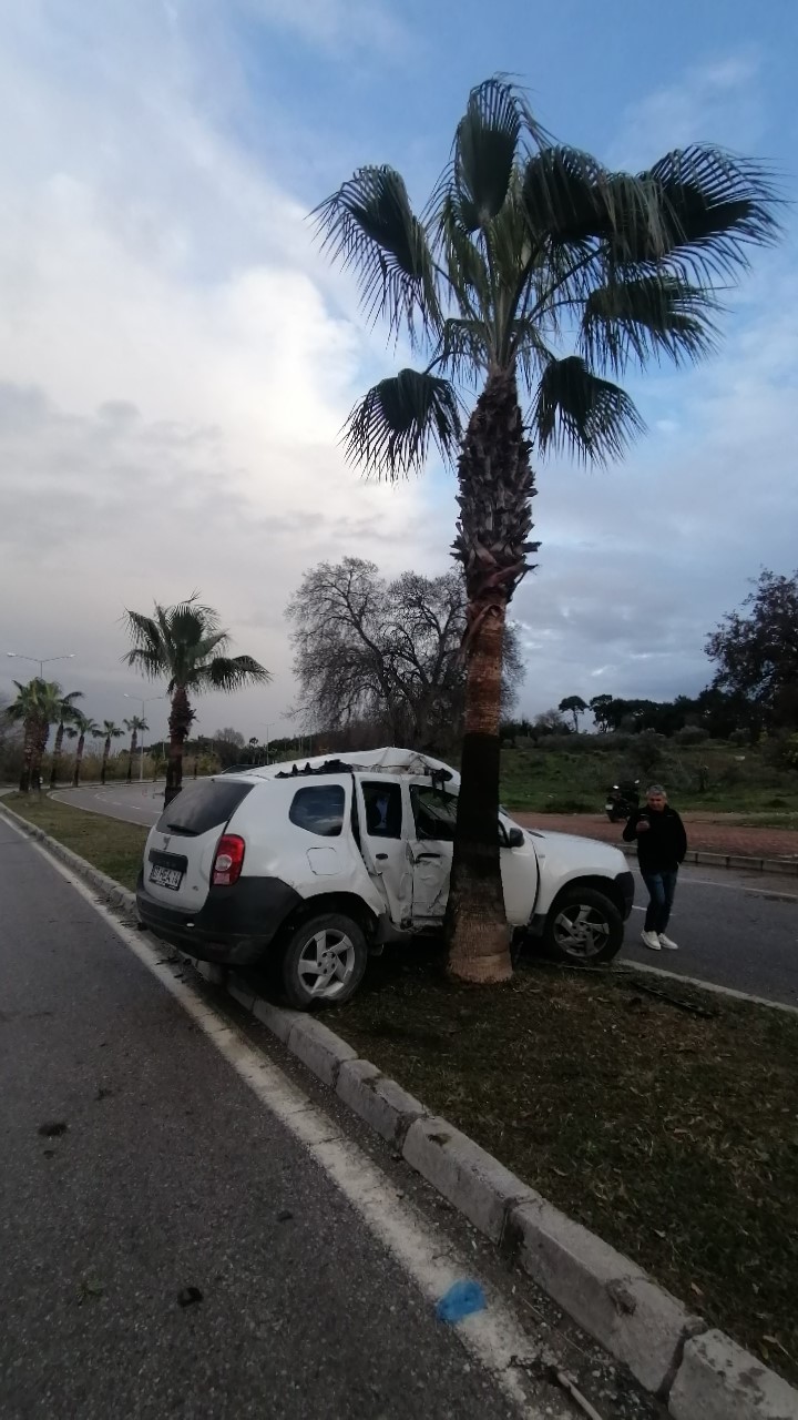 Antalya'da kaza 1 yaralı; palmiyeye çarptı