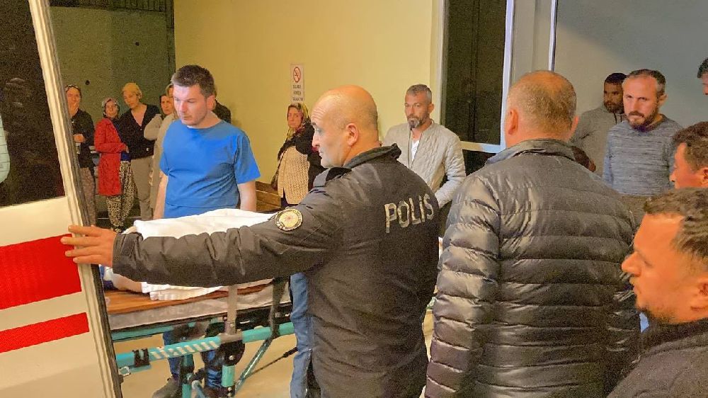 Antalya'da Kaza kardeşleri ayırdı, 1 kişi tutuklandı