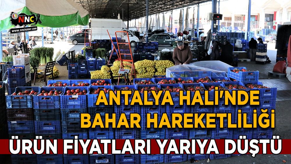 Antalya Hali'nde bahar hareketliliği: Ürün fiyatları yarıya düştü