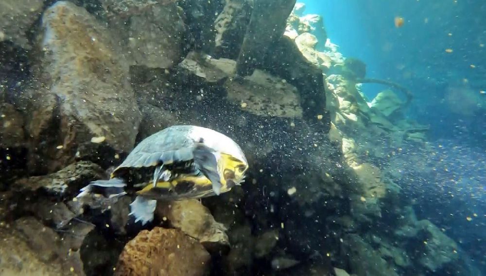 Antalya'nın göbeğinde 35 metre derinlikte obruk