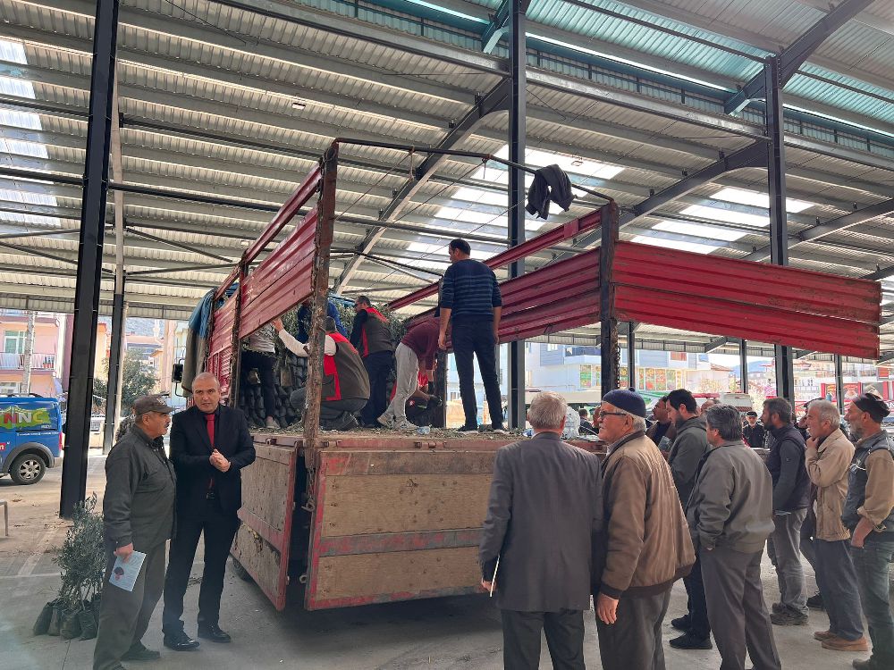 Burdur Bucak'ta 13 bin zeytin fidanı dağıtımı