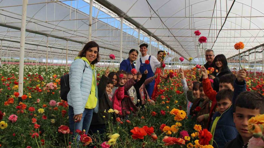 Aksu’da Anaokulu öğrencileri çiçek hasadına katıldı