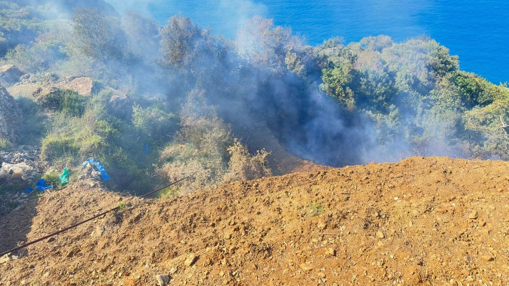 Antalya'da yerleşim yerlerine yakın noktada yangın
