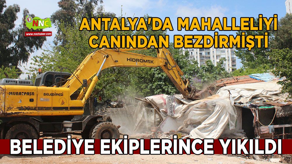 Antalya'da mahalleliyi canından bezdirmişti, belediye ekipleri yıktı