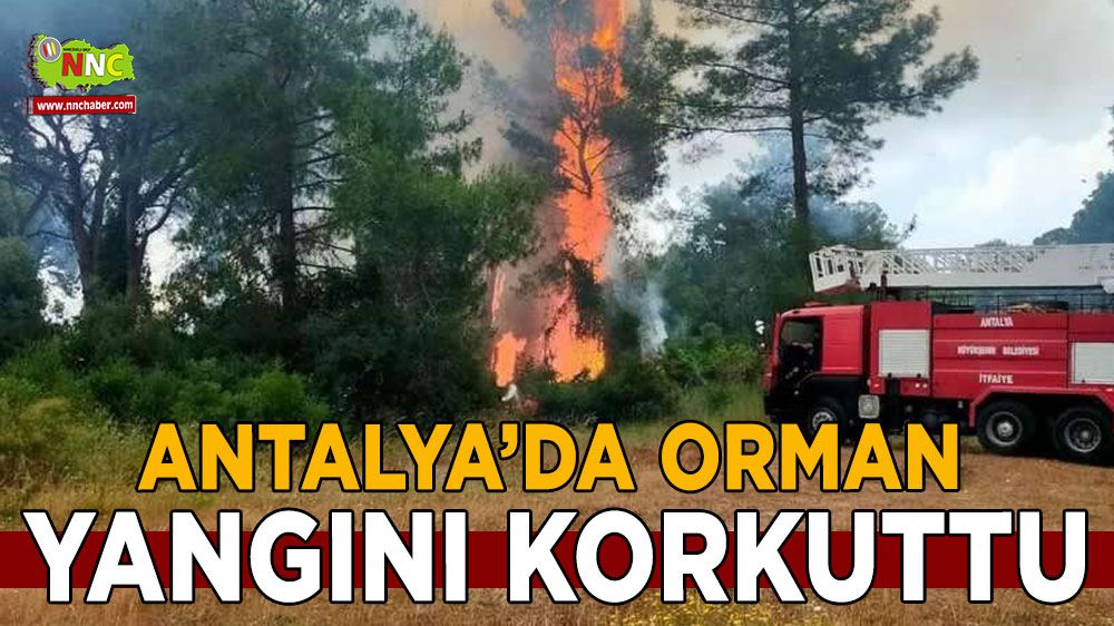 Antalya'da orman yangını büyümeden kontrol altına alındı