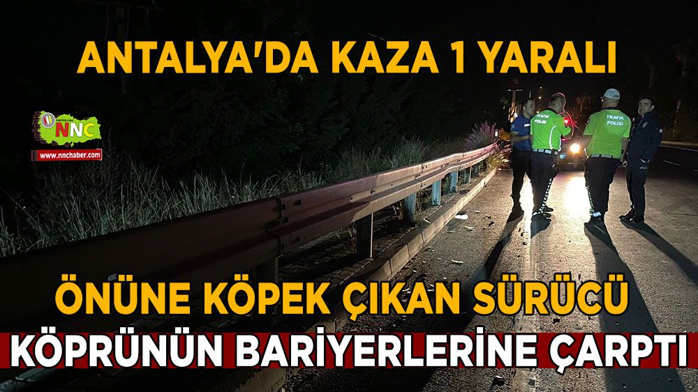 Antalya'da kaza Sürücü yaralandı
